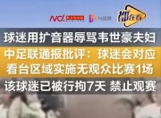 半岛体育-主场球迷因欺凌行为被禁止观赛，球队受罚