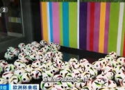 半岛体育登入-欧洲足球盛事观后感，球迷热情高涨
