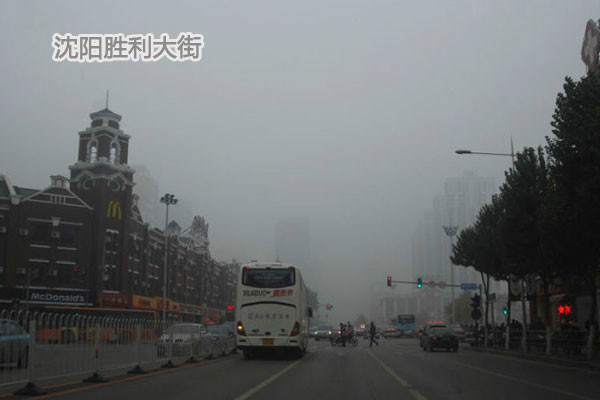 关于辽宁沈阳主场胜利，提前锁定升级资格的信息