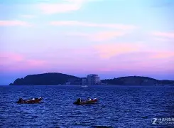 包含鹿岛鹿角赛前发布会：全队信心满满迎战阿尔希拉尔的词条