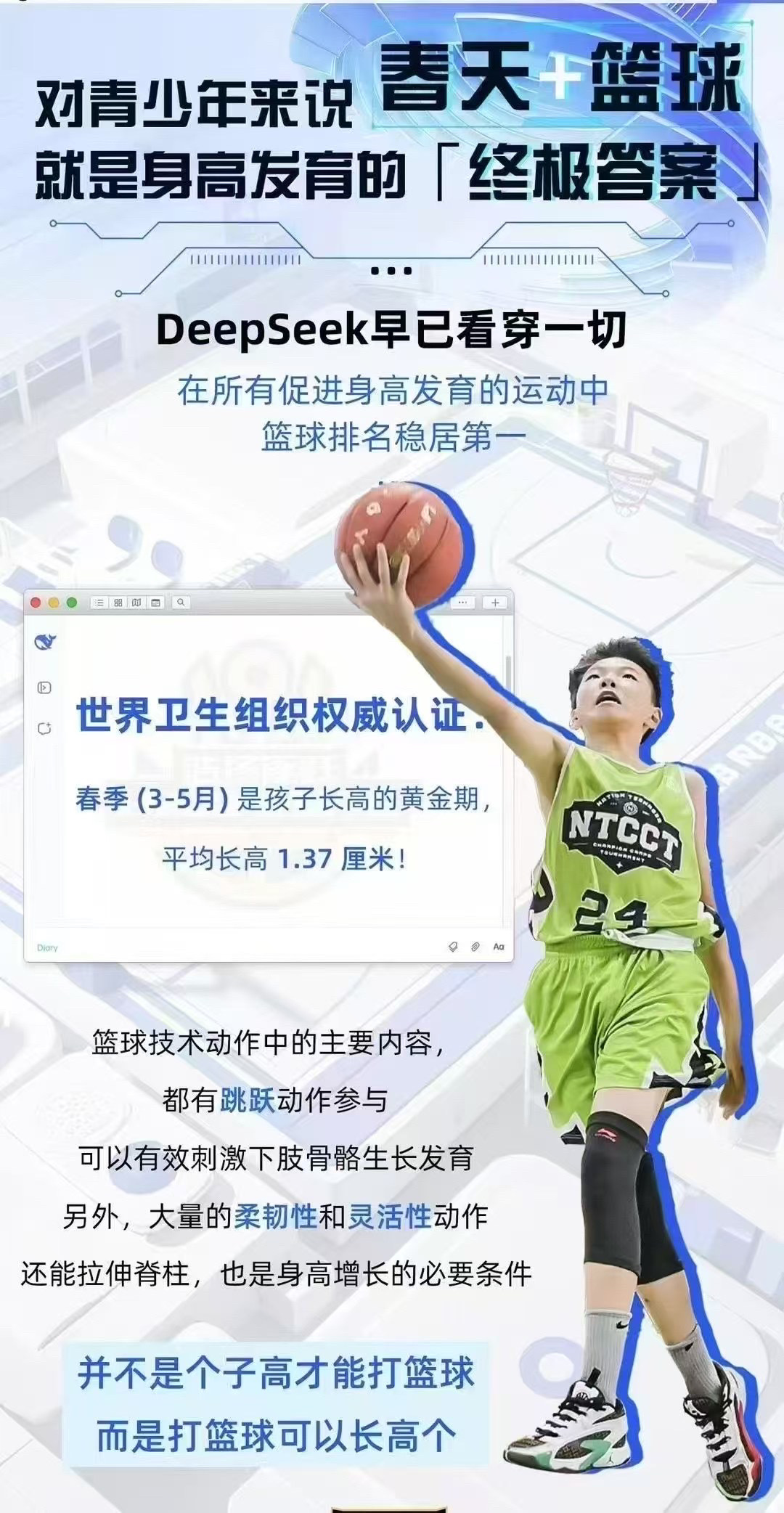 关于小个子球员成为球队亮点，证明力量不只是体型的信息